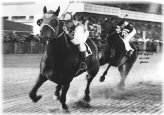 Legendary Showdown at the Racetrack: Seabiscuit vs. War Admiral Photograph