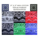 Southwestern Breeze Bandanas