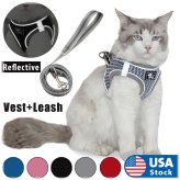 Reflective Cat Walking Set