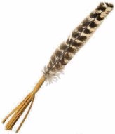 Leather Bound Cleansing Feather: 10" (Metaphysical Item)