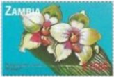 Zambian Orchid Stamp - 2000 Issue
