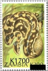 Zambian Rock Python Stamp