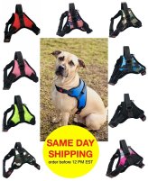 Reflective Control Harness with Handle for Dogs