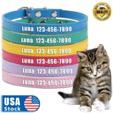 Whisker Wear Personalized Cat Collar and ID Tag Set