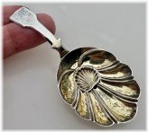 Regal Georgian Silver Tea Caddy Spoon