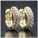 Gold Frost Hoop Earrings