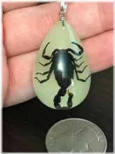 Scorpions Glow Necklace