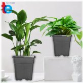 Square Nursery Pot Collection