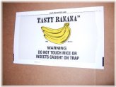 Banana Glue Mouse Traps by Catchmaster