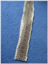 Rattlesnake Skin Fragments Collection