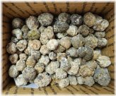 Mexican Gemstone Treasure Mix