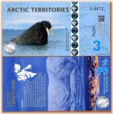 Arctic Walrus Note