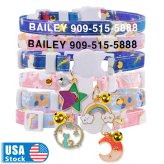 Feline Identity Collar with Personalized Tag