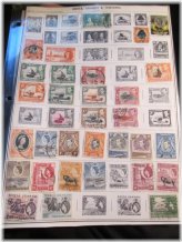 Kenya Uganda Tanganyika Stamp Collection