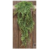 Festive Dill Foliage Swag