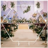 Hexagon Frame Wedding Arch Backdrop