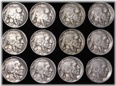 1934-1938 Buffalo Nickel Short Set - 12 Coins