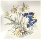 Butterfly Garden Waterslide Decals