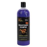 Radiant Coat Shampoo for Small Animals