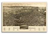 Saratoga Springs 1888 Panoramic Map - A Glimpse into the Town's History