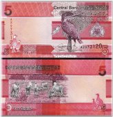 African Nations Currency Collection