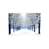 Winter Wonderland Greetings Set - Blue Tree Scene