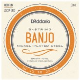 Nickel Wound Medium Gauge Banjo Strings by D'Addario USA