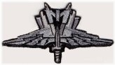Starforce Troopers Winged Infantry Patch