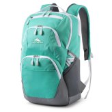 Swoop 19" Aquamarine/Silver Backpack