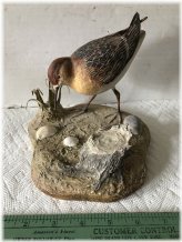 Cape Cod Dowitcher Sandpiper Diorama by Lewis Robichaud