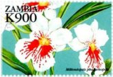 Zambia Orchids Stamp Collection