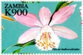 Zambia Orchids Stamp Collection