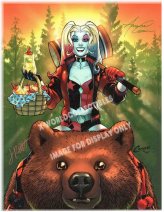 Dynamic Duo: Harley Quinn #27 Art Print