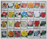 Vintage Flower Seed Packet Collection