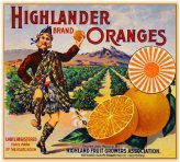 Highland Citrus Crate Art Print