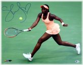 Champion's Signature Collection