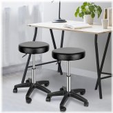 Swivel Salon Stool Duo