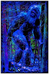 Majestic Night Vision Art Print