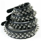 Studded Leather Spike Collar for Pets