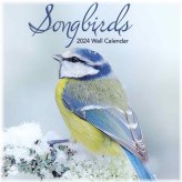 Songbirds Photo 2024 Mini Wall Calendar