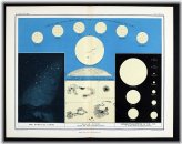 Starry Skies Almanac