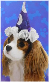Wizardly Pooch Hat