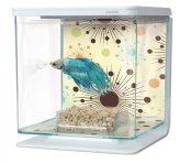 Fireworks Betta Habitat