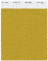 Honey Color Swatch Card
