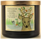 Cozy Spice Swirl Candle