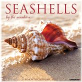 Seashells 2025 Wall Calendar
