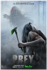 Wildlife Collection Art Prints