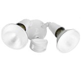 TwinGuard Motion Floodlight