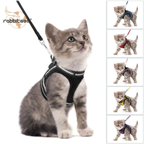 FreedomFeline Harness and Leash Set