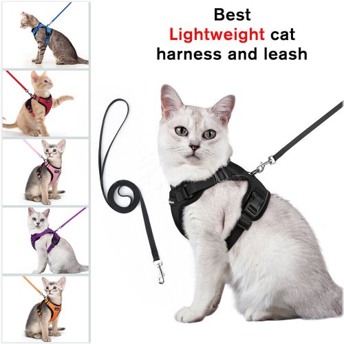 SafePaws Reflective Walking Set